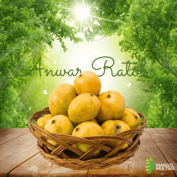 Anwar Ratol - Image 2