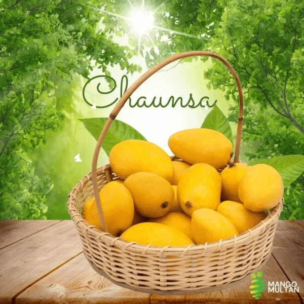 Chaunsa (Late) - Image 3