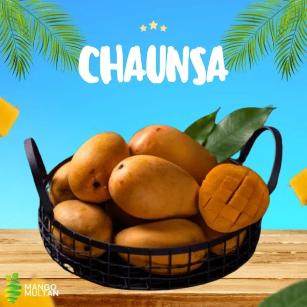 Chaunsa (Late) - Image 2