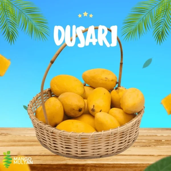 Dusheri - Image 3