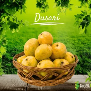 Dusheri