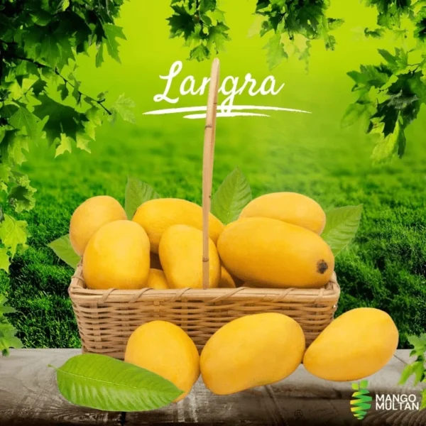 Langra - Image 2