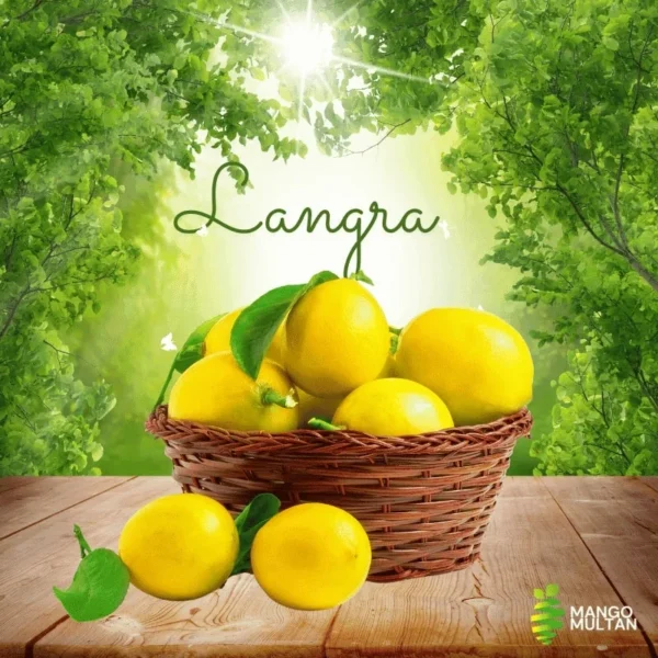 Langra - Image 3