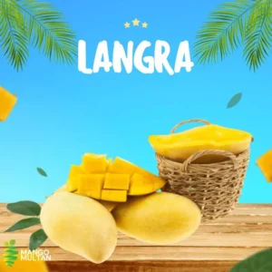 Langra