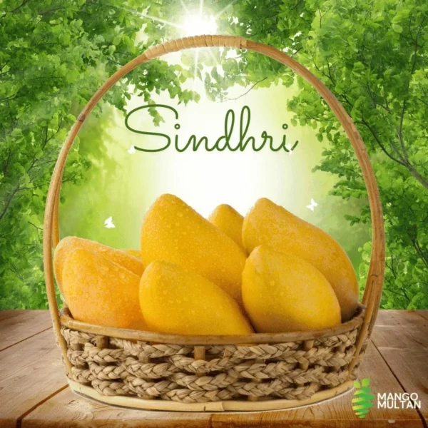Sindhri - Image 2