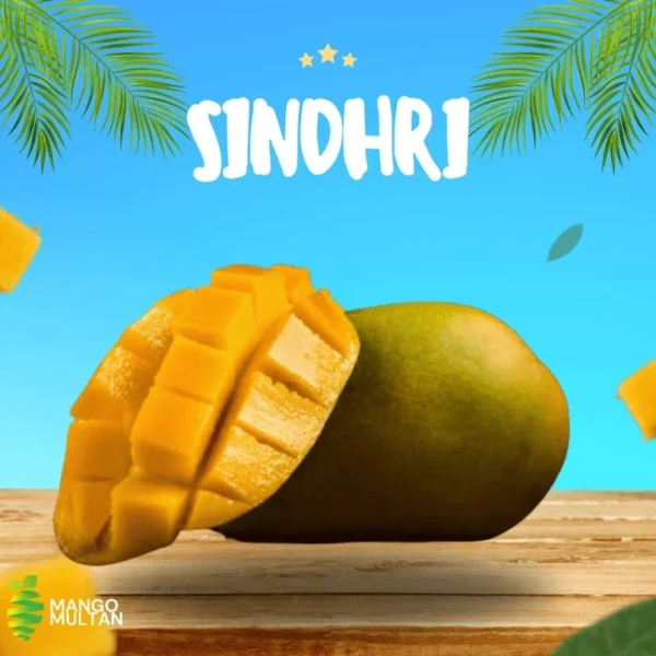 Sindhri
