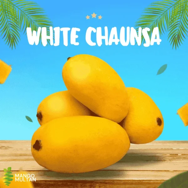 White Chaunsa (Late) - Image 2